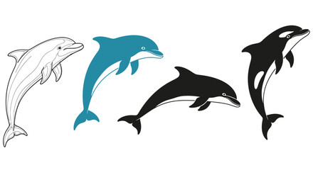 Naklejka premium Dolphin vector illustration set ocean animal marine life art
