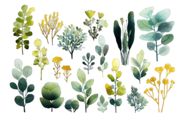 A collection of stylized, muted greenery.  Various plants, leaves, and blossoms in soft, earthy tones.  Visually appealing botanical elements