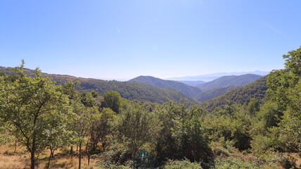 mountain landscape with trees