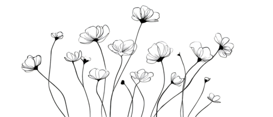 Black and white illustration of many delicate, white flowers