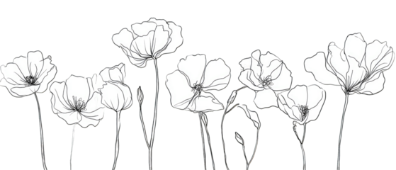 Black and white line drawing of several poppy flowers