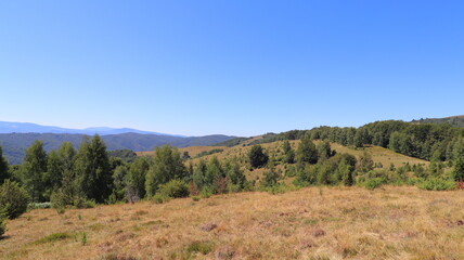 Fototapeta premium autumn landscape with mountains