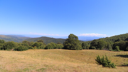 Fototapeta premium landscape in the mountains