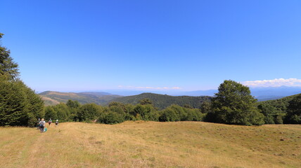 Fototapeta premium landscape in the mountains