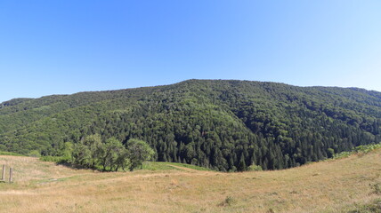 Naklejka premium autumn in the mountains