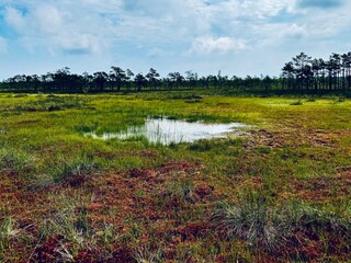 Located in southwestern Estonia, Soomaa National Park, Riisa bog lake in the Soomaa National Park