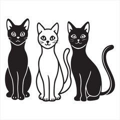 A Playful and Affectionate American Shorthair Cat, a Beloved Family Companion with a Cheerful and Energetic Personality