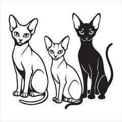 The Affectionate and Playful Nature of a Sphynx Cat, a Beloved Companion with an Unconventional and Adorable Appearance