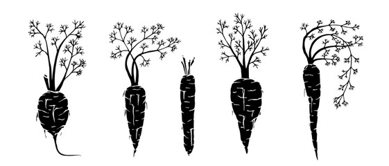 Carrot root vegetable silhouette, stamp. Vector graphics.