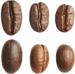 coffee beans isolated on white
