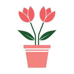 Two pink tulips in a terracotta pot with green leaves on a white background flower