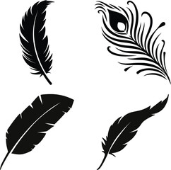 Collection of four elegant black feathers isolated on a white background