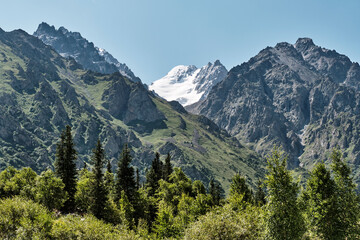 Obraz premium Snow-capped peak and lush forest in alpine Ala-Archa national park, Kyrgyzstan