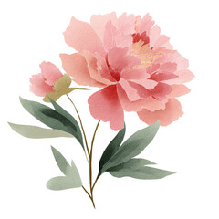 Delicate, rosy pink peony with soft, muted tones, and highlighted leaves