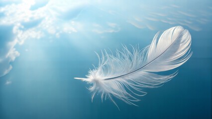 White feather floating in blue sky water reflection