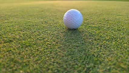 golf ball on green grass