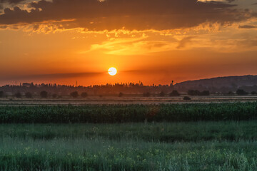Amazing colorful sunset in summer over flowering meadows.