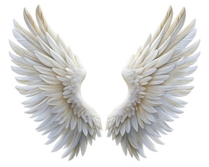 Obraz premium realistic angel wings white wing isolated on white background PNG , AI GENERATED