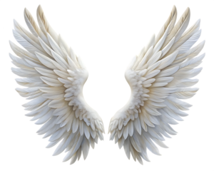 realistic angel wings white wing isolated on white background PNG , AI GENERATED