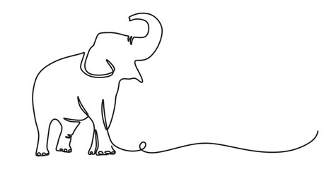 continuous line art of an elephant isolated with transparent background