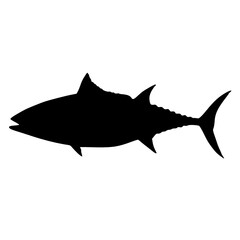 Silent Hunter A Powerful Presence in the Ocean Depths
