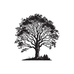 Fototapeta premium Black Ash Tree Silhouette Vector on White Background.