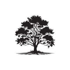 Fototapeta premium Black Ash Tree Silhouette Vector on White Background.