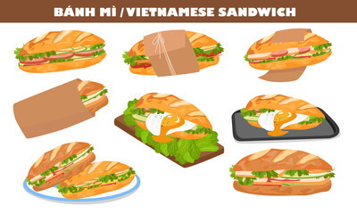 Bánh mì, banh mi or Vietnamese baguette sandwich vector in cartoon flat style. Vietnamese traditional food, famous street food. Bread with grilled meat, egg, sausage , cilantro, cucumber, chilli sauce