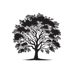 Obraz premium Black Ash Tree Silhouette Vector on White Background.
