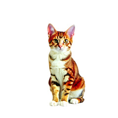 Obraz premium A Captivating Portrait of a Young Orange and White Tabby Cat
