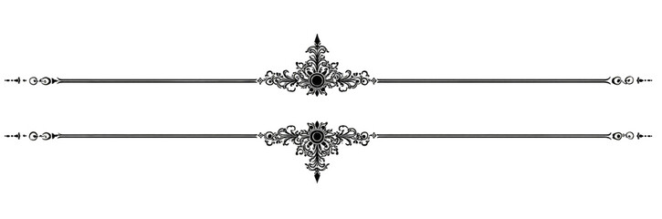 Two horizontal black lines with decorative, ornate embellishments