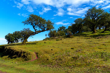 Madera  the best island in Portugal