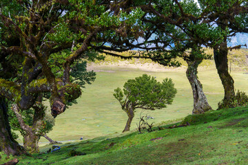 Madera  the best island in Portugal