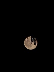 moon in the sky