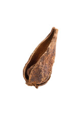 Dried Tamarind Seed Pod - Exotic Spice on White