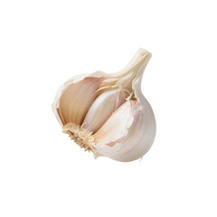 Fresh Garlic Bulb Isolated on White