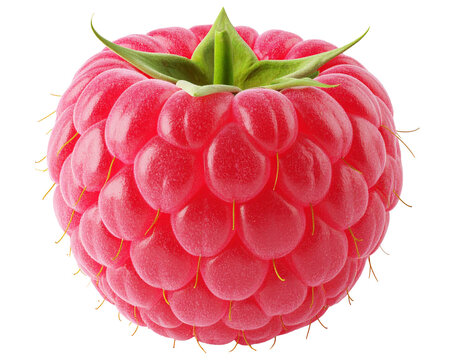 Vibrant Red Raspberry: Close-Up Macro Photography of Fresh Fruit