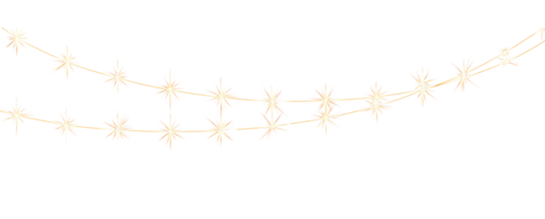 Christmas Lights garland on transparent background, cutout