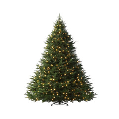Fototapeta premium Christmas tree on transparent background, cutout