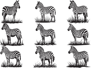 Zebra Face SVG Bundle
