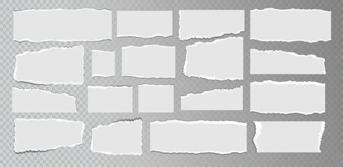 Realistic ripped white paper sheets isolated on transparent background. Torn blank pages with uneven texture. Vector