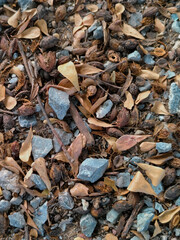 Close-up photograph of dry leaves, stones, and organic debris scattered on the ground, creating a natural texture and earthy tone. Perfect as a background for design projects, environmental themes
