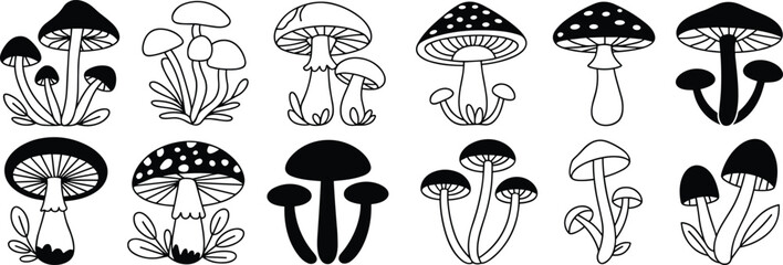 Cartoon mushroom illustrations, black and white fungi drawing, simple mushroom sketch set, cute mushroom vector, hand drawn mushroom art