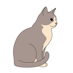 An elegant grey and white cat sitting in profile, a simple digital illustration with clean lines. Modern vector graphic of a domestic feline pet.