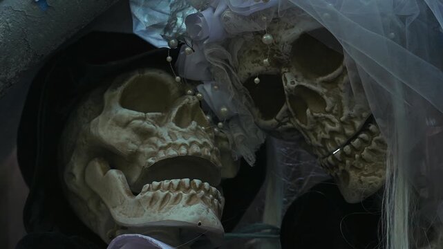 Skeletons dressed as bride and groom. Skeleton bridegroom and bride couple posing close up during preparation day for Halloween. Scary skeleton models decor props.