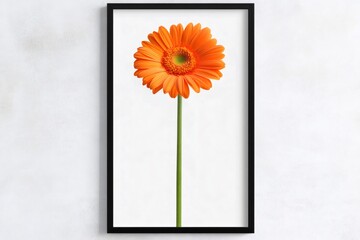 Modern minimalist artwork showcasing a single orange gerbera daisy in a black frame, creating a vibrant and stylish botanical display