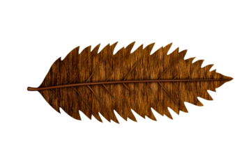 Single brown textured leaf with jagged edges and visible veins