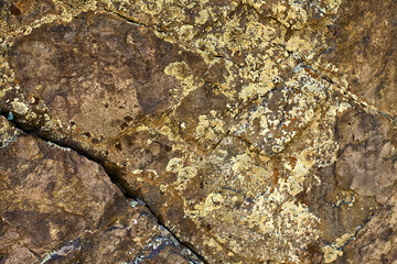 Close-up of sandstone or volcanic tuff rock with cracks, natural relief, and mineral details, Boshkyzylsay, Uzbekistan, July 2025.