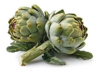 Fototapeta premium Two fresh artichokes with leaves on white background