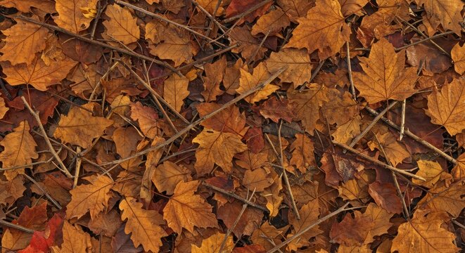 A dense carpet of fallen brown and orange leaves with twigs